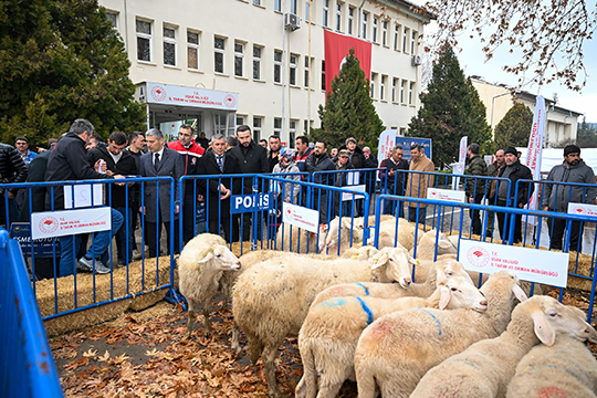 Vali Aktaş, “İlimizin Hayvancılık Potansiyelinin En İyi Şekilde Değerlendirilmesi, Büyük Öneme Sahiptir.”